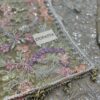 Zarif Luxury 4pcs Net